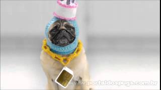 Three - "Pay as You Go - Just Got Serious" - Comercial de TV - Propaganda com Pug