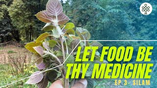 Let food be thy medicine - Silam/Korean perilla|EP 3|