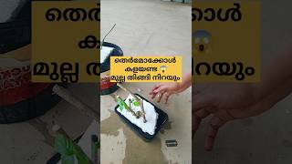 തെർമോക്കോൾ കളയണ്ട.. മുല്ല തിങ്ങി നിറയും /poppy vlogs