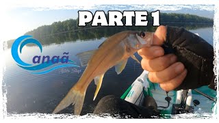 Muitos Robalinhos parte 1 #fishing #pescaria #jigs