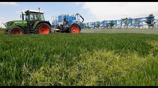 •Pryskanie na chwasty•| Fendt 309 Vario & Lemken