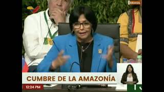 🇻🇪 #venezuela propone declarar una "emergencia regional" en los países amazónicos #noticias