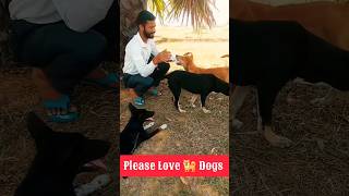 आज रास्ते में कुछ प्यारा दोस्त मिल गया......🤩😍🐕Please Love 🐕 Dogs 🙏#petsandanimals