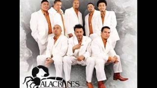 Por tu amor - Alacranes Musical