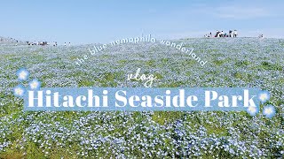 HITACHI SEASIDE PARK in Japan // A day trip to the blue nemophila wonderland