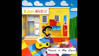 Tears in the Rain - Tsundoku (3/12)