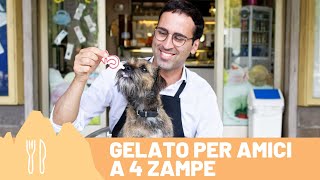 Corso di #Gelato - Gelato per amici a 4 zampe con Sandro e on. Filippo Maturi