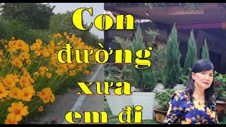 Con Đường Xưa Em Đi- Thu Trang, Lê Dũng