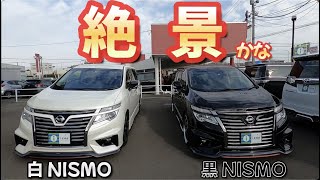 [ エルグランド ] 400万円と200万円のNISMO［ E52後期 ］