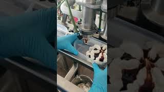 Ice cream tub filling machine