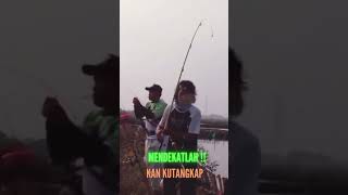 MENDEKATLAH ‼️ KAN KUTANGKAP