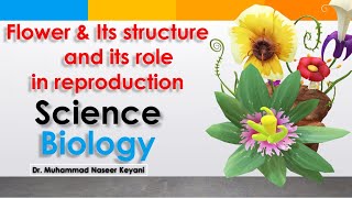 Flower, its structure and its role in reproduction پھول، پھول کی ساخت،جنسی تولید میں پھول کا کردار