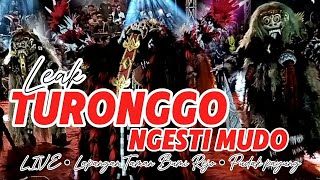 Turonggo Ngesti Mudo🔥Live Lapangan,Taman Bumi Rejo,Pudak Payung