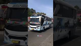 Basuri Bus Setya Jaya Feat Hafizha #busmaniacomunity #trending #bisbasuri #busmania #buspariwisata