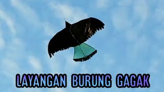 layang layang burung gagak