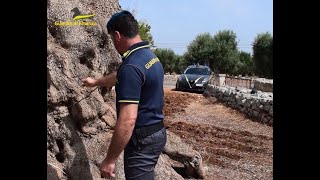 Nascosta tra gli ulivi monumentali un'area adibita a piazzale di sosta di mezzi pesanti