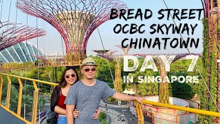 Exploring Singapore - Gordon Ramsay’s Restaurant, OCBC Skyway, Chinatown & More (Vlog)