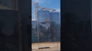 Australian Silo Art  #youtubeshorts #travel #art #artwork