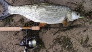 Ловля жереха на спиннинг. Рыбалка на Днестре, Дубоссарское водохранилище.