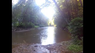 Duel vlog #1 trail and creek riding. OH NO COPS!??