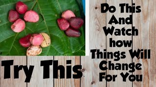 How to speak with your ancestors using kolanut, this can change  your life