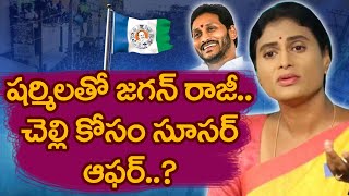 Ys Sharmila | Ys Jagan | షర్మిలతో జగన్ రాజీ.. చెల్లి కోసం సూపర్ ఆఫర్? | The Telugu News