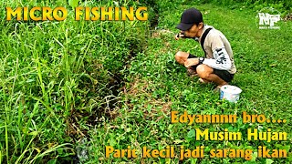 Micro Fishing || mancing wader || Musim hujan parit kecil jd sarang ikan #mancingnila #mancingnilem