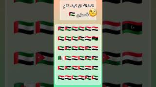 اتحداك ان تجد علم فلسطين 🇵🇸 🧐!؟ #اشتراك #فلسطين #subscribe #mrbeast #shorts #اكسبلورر #youtubeshorts