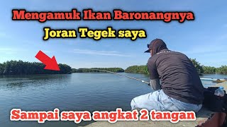 Ikan Baronangnya Mengamuk Menghajar Joran Tegek Saya