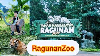 Murah Meriah ! Kebun Binatang Ragunan Zoo 2024 | Wisata Jakarta