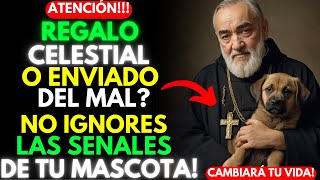 Padre Pío: Este es el DESTINO de quienes tienen PERRO en CASA| ¡No te pierdas este VÍDEO! CRISTIANO