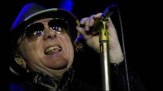 Van Morrison - I've Been Working + Cold Sweat