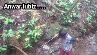 ANAK ANAK MANCING...... PENCARI IKAN PEMBERANI ||| ANWAR LUBIZ