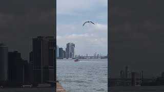 NYPD Marines and NYPD Marine Cruising Around