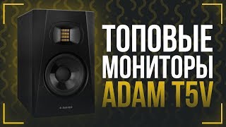 ТОПОВЫЕ БЮДЖЕТНЫЕ МОНИТОРЫ - ОБЗОР ADAM T5V