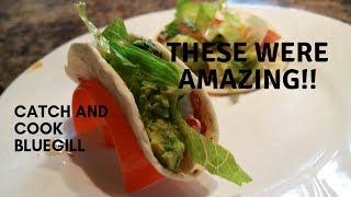 BLUEGILL FISH TACOS,WOW!