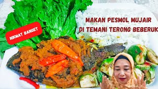 Pesmol mujair.beberuk terong ‼️nikmat nya juara🥰