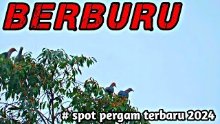 INIPARAH😱😱‼️// CAMPING DITENGAH HUTAN & BERBURU PERGAM DI SPOT BARU😍😍