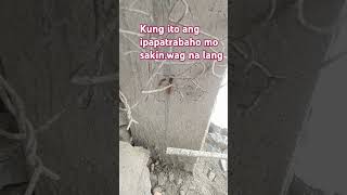 kung ito ipapatrabaho mo sakin wag na lang #shortvideo