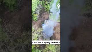 Ukrainian drones destroy the enemy