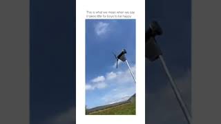 Off to the stratosphere #funnyvideo #tiktok