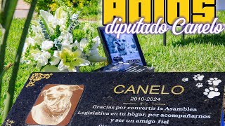 así se despiden de diputado Canelo