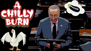 A Chilly Burn / Chuck Schumer "Donald John Trump Incited the Erection"