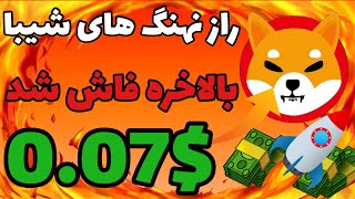 راز نهنگ های شیبا اینو بالاخره فاش شد