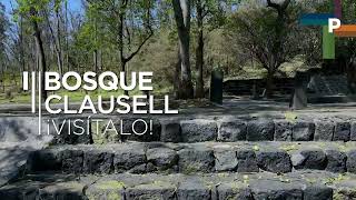 Rehabilitación Bosque Clausell