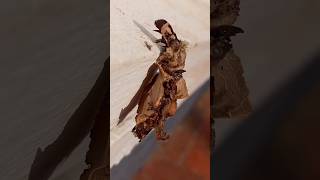 Bagworm on the move #bug #shorts #weird #caterpillar