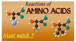 General reactions of amino acids | Transamination | Deamination | Decarboxylation | #Biochemistry