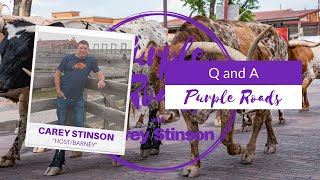 Purple Roads Live | Q & A