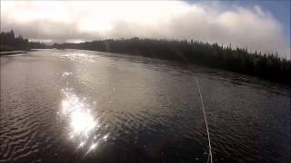 Salmon Angling In Newfoundland