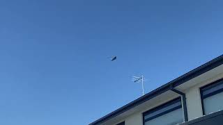 Chinook helicopter fly over Melbourne 17/1/22